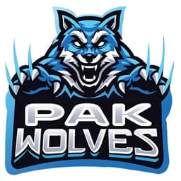 Team logo
